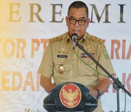 Edy Natar Nasution berpeluang jadi Plt Gubernur Riau (foto/int)